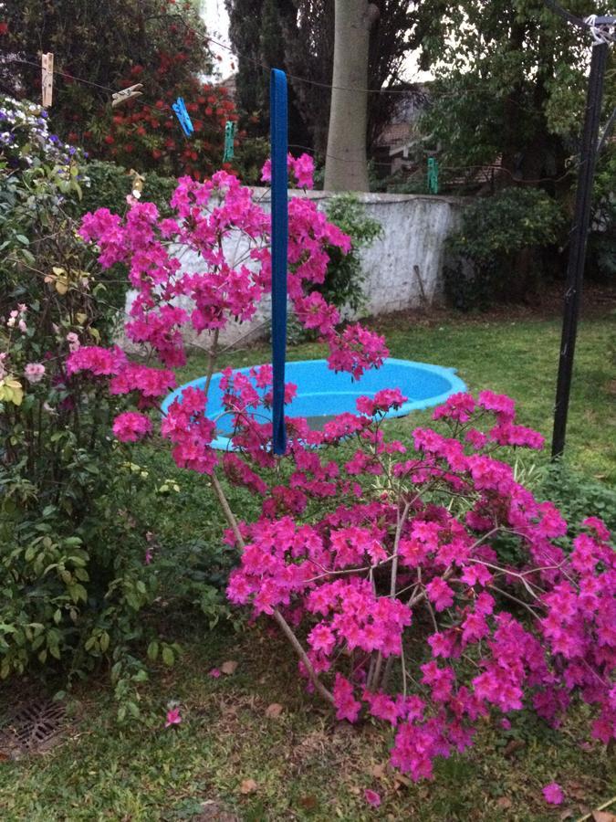 B&B Polo (Adults Only) Villa Maipu 外观 照片