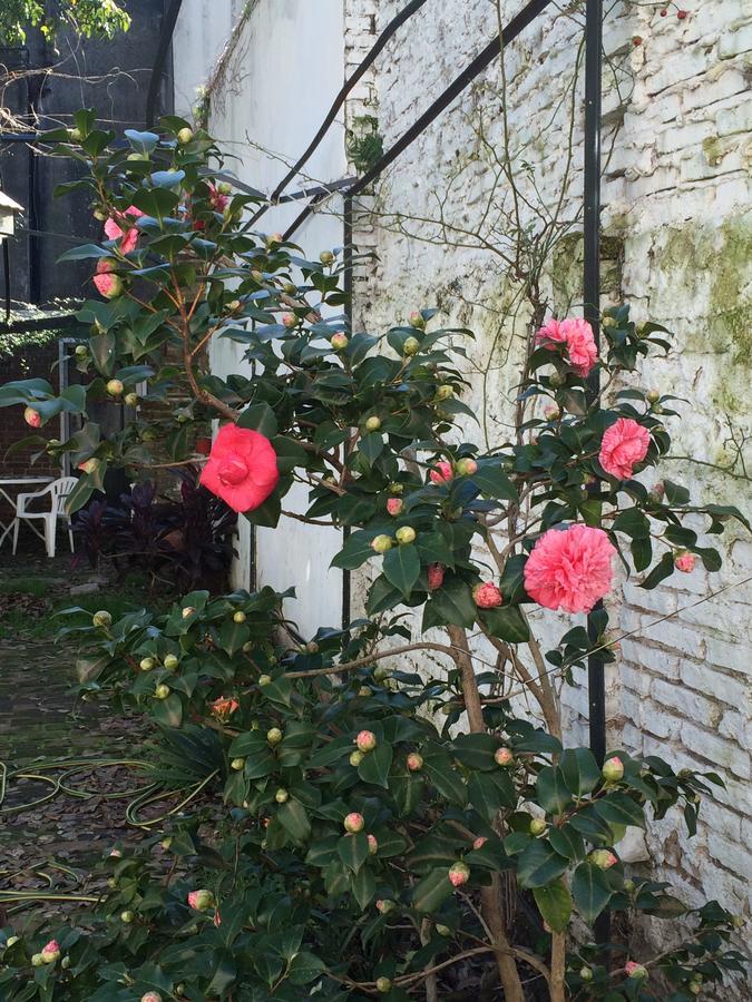 B&B Polo (Adults Only) Villa Maipu 外观 照片
