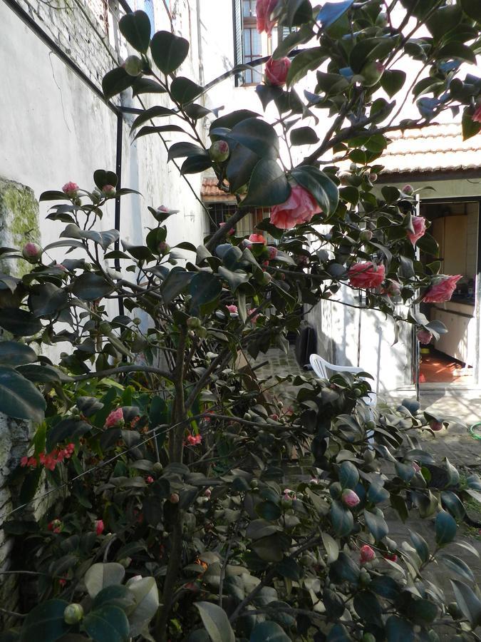 B&B Polo (Adults Only) Villa Maipu 外观 照片